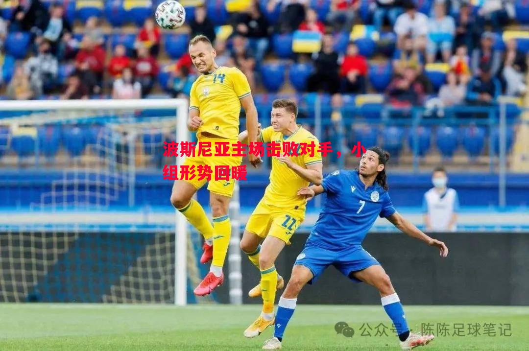 波斯尼亚主场击败对手，小组形势回暖