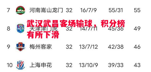 武汉武昌客场输球，积分榜有所下滑