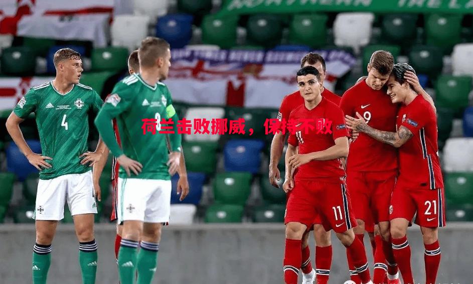 荷兰击败挪威,保持不败 荷兰击败挪威,保持不败