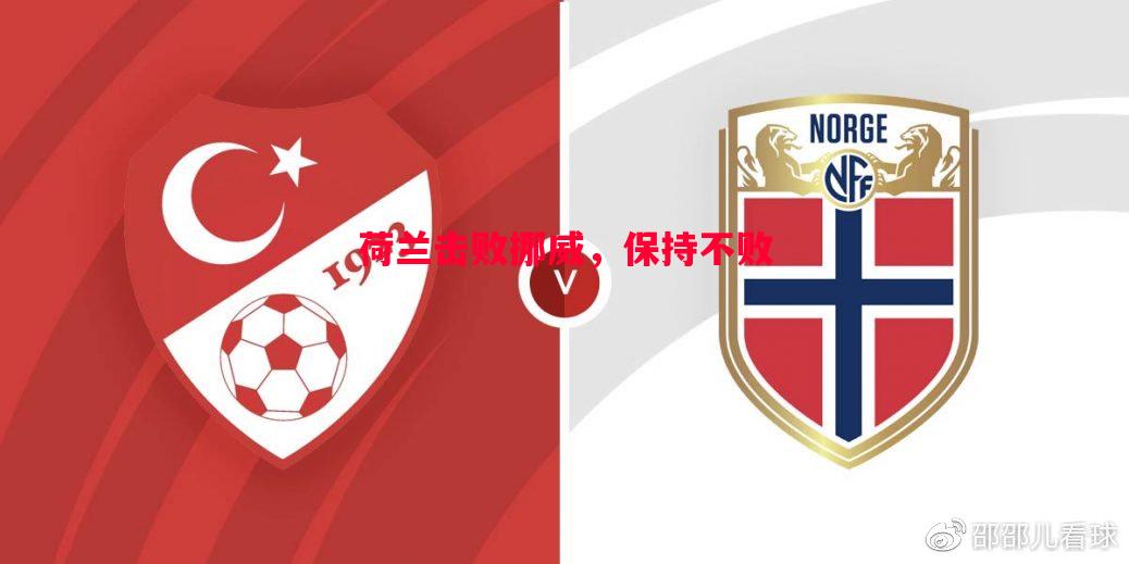 荷兰击败挪威,保持不败 荷兰击败挪威,保持不败
