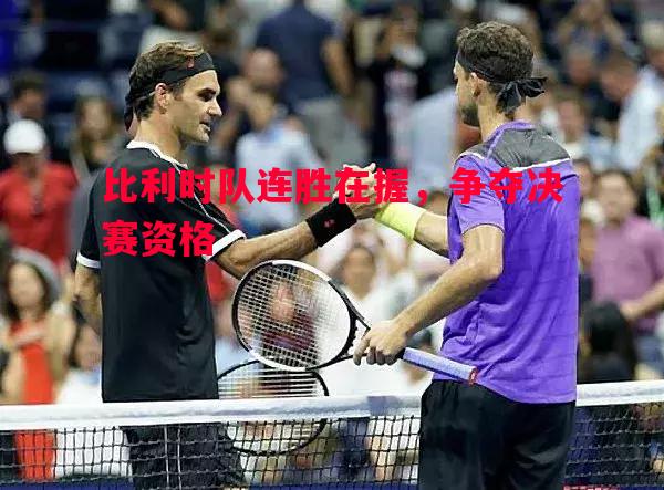 比利时队连胜在握,争夺决赛资格 比利时队连胜在握,争夺决赛资格