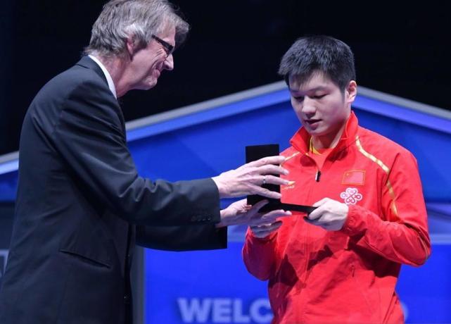 游泳表现完美中国选手豪夺冠军，实力抢眼