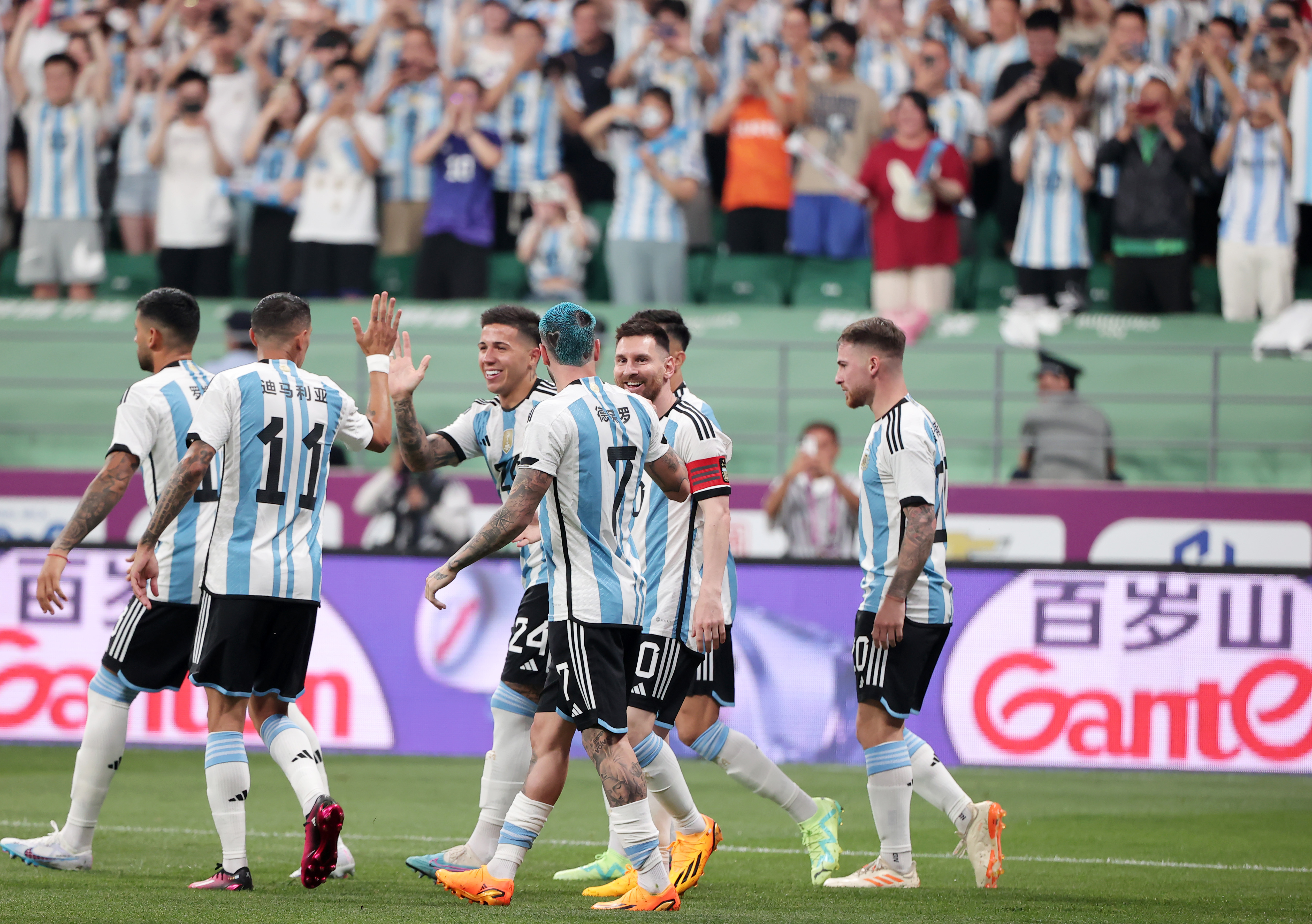 阿根廷篮球队在南美锦标赛上表现出色