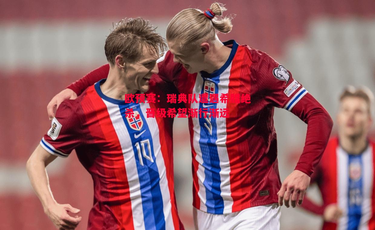 悟空体育官网-欧预赛：瑞典队遭遇希腊绝杀，晋级希望渐行渐远