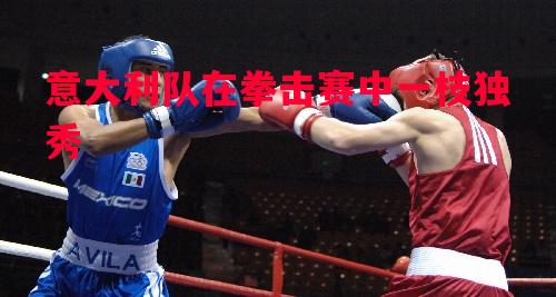 悟空体育-意大利队在拳击赛中一枝独秀