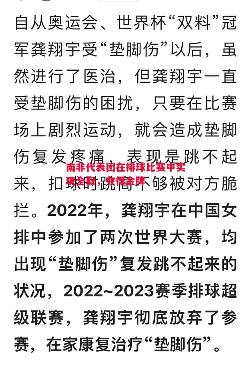 悟空体育官网-南非代表团在排球比赛中实现全取，夺得金牌