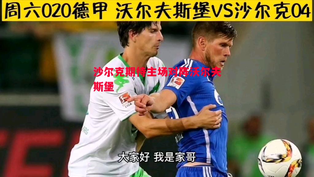 悟空体育-沙尔克期待主场对阵沃尔夫斯堡