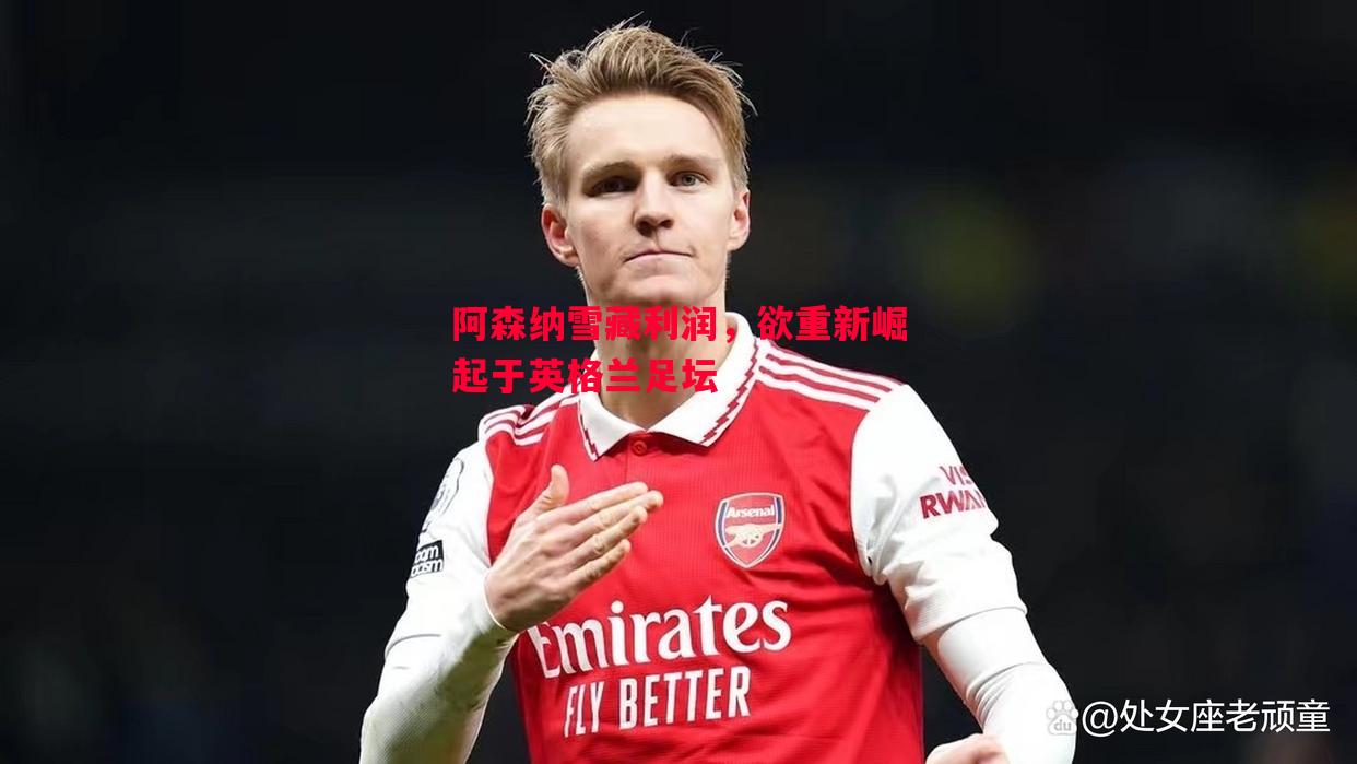 悟空体育官方网站-阿森纳雪藏利润，欲重新崛起于英格兰足坛