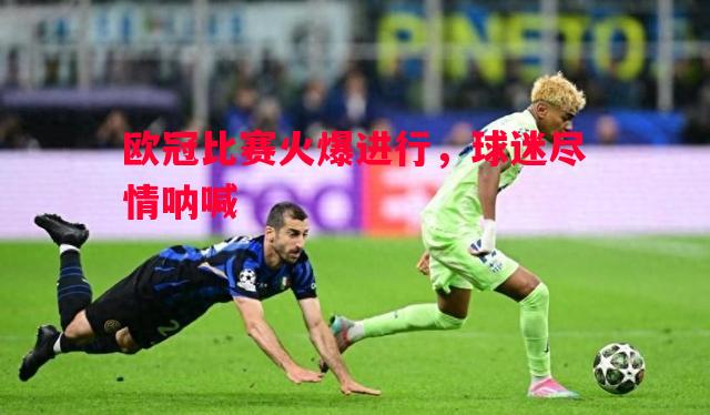 悟空体育官网-欧冠比赛火爆进行，球迷尽情呐喊