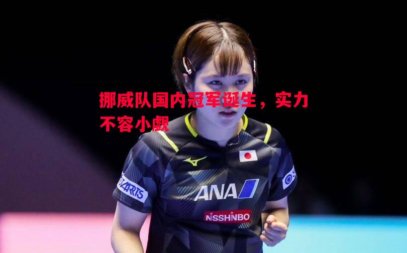 悟空体育-挪威队国内冠军诞生，实力不容小觑