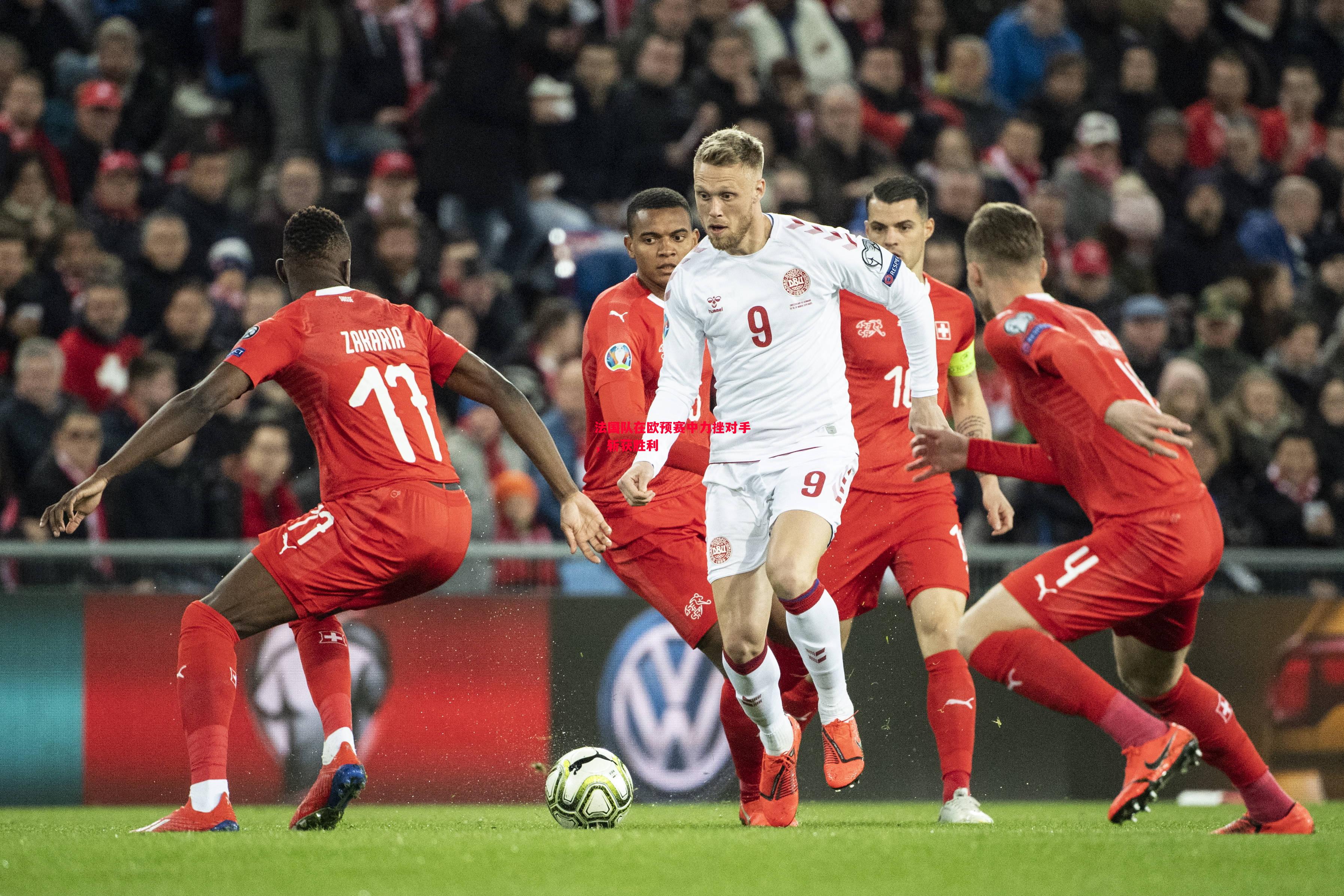 悟空体育-法国队在欧预赛中力挫对手，斩获胜利