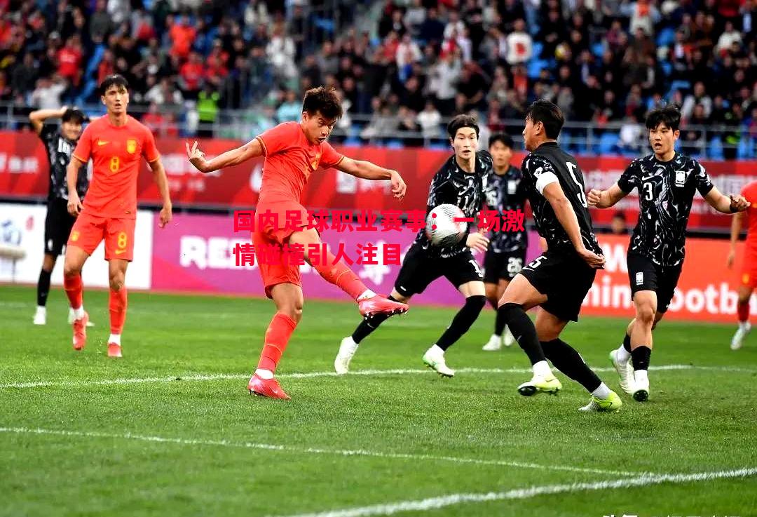 悟空体育-国内足球职业赛事：一场激情碰撞引人注目