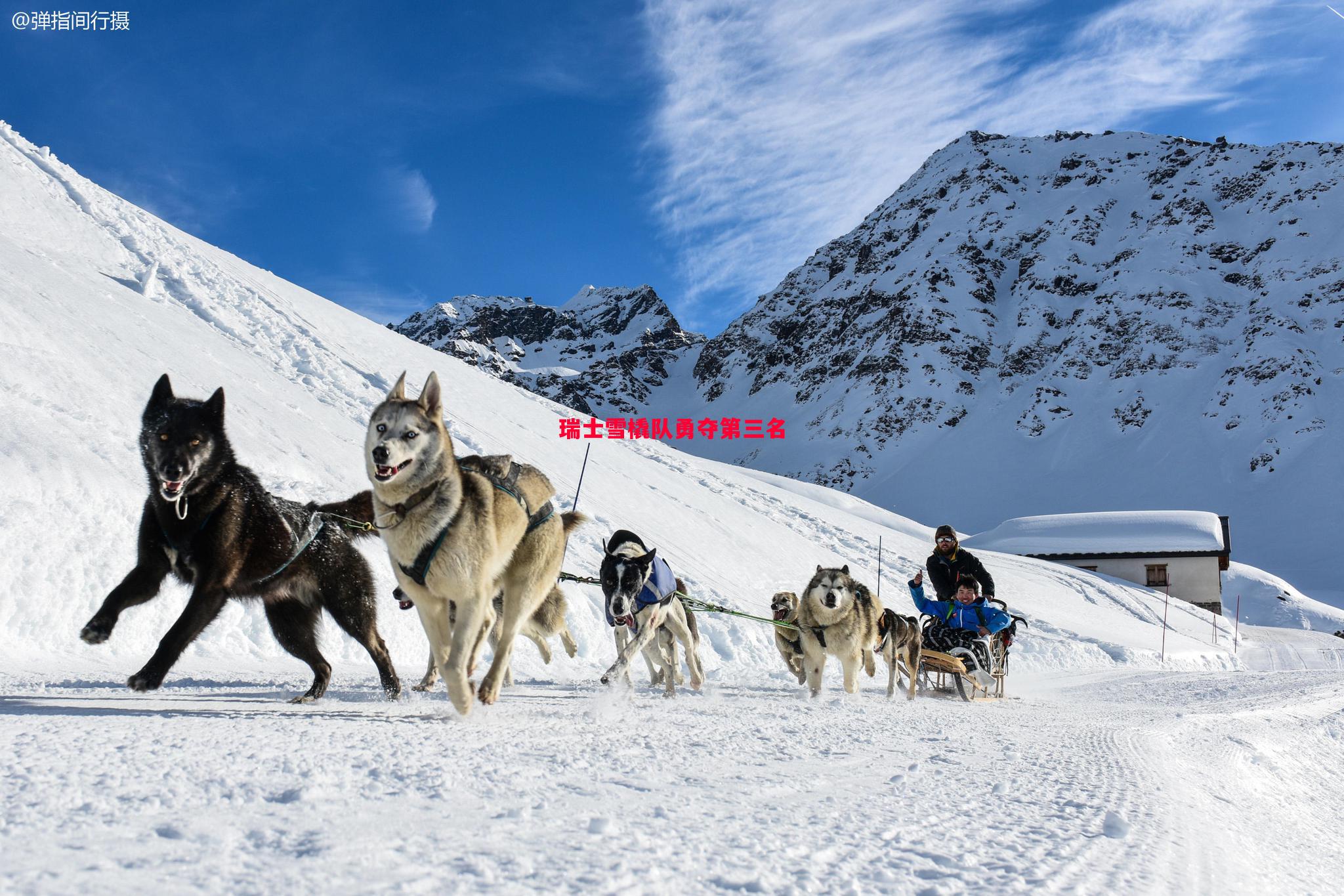 悟空体育-瑞士雪橇队勇夺第三名