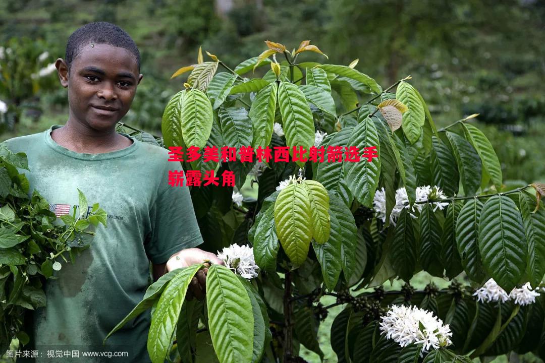 悟空体育-圣多美和普林西比射箭选手崭露头角