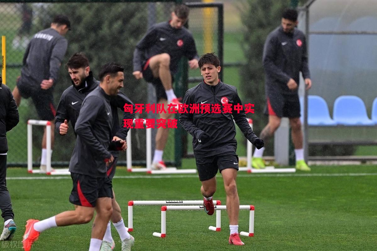 悟空体育官方网站-匈牙利队在欧洲预选赛中实现重要突破