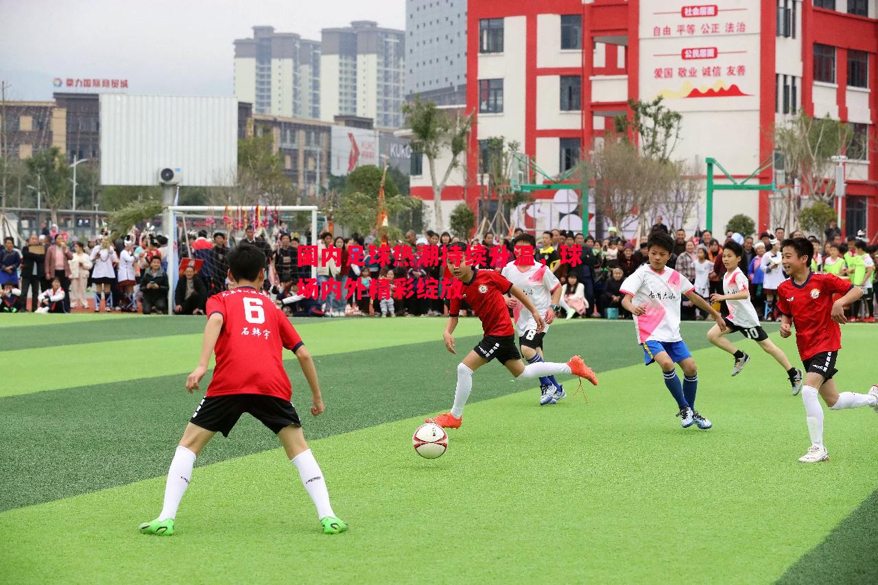 悟空体育-国内足球热潮持续升温，球场内外精彩绽放