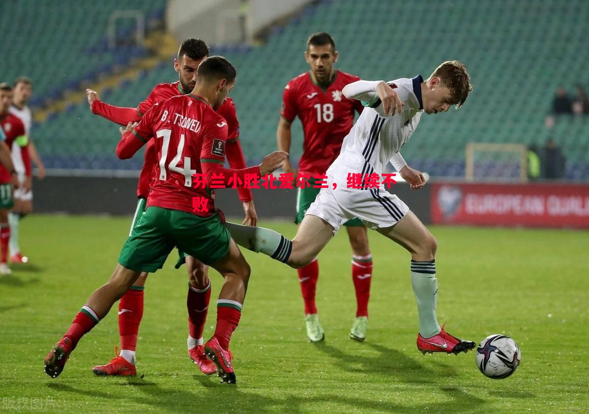 悟空体育官网-芬兰小胜北爱尔兰，继续不败