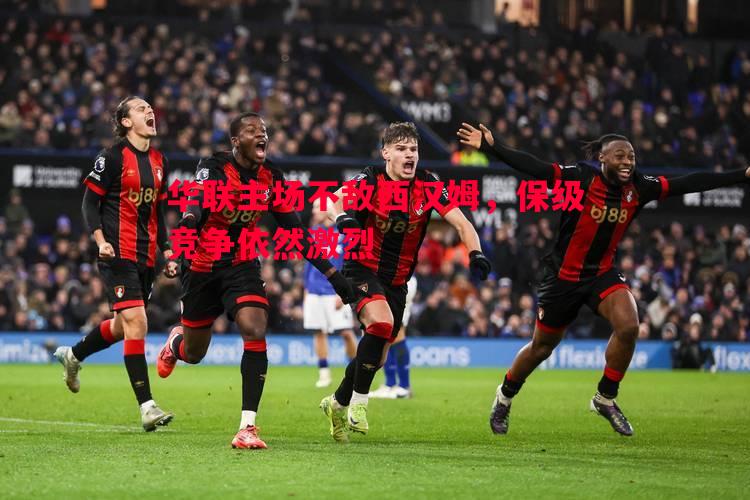 悟空体育-华联主场不敌西汉姆，保级竞争依然激烈