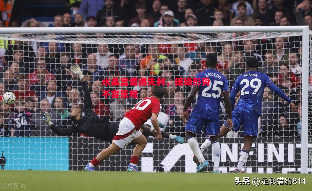 悟空体育官方网站-水晶宫遭遇失利，保级形势不容乐观