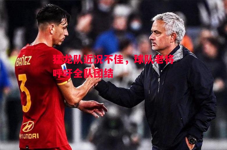 悟空体育-猛龙队近况不佳，球队老将呼吁全队团结