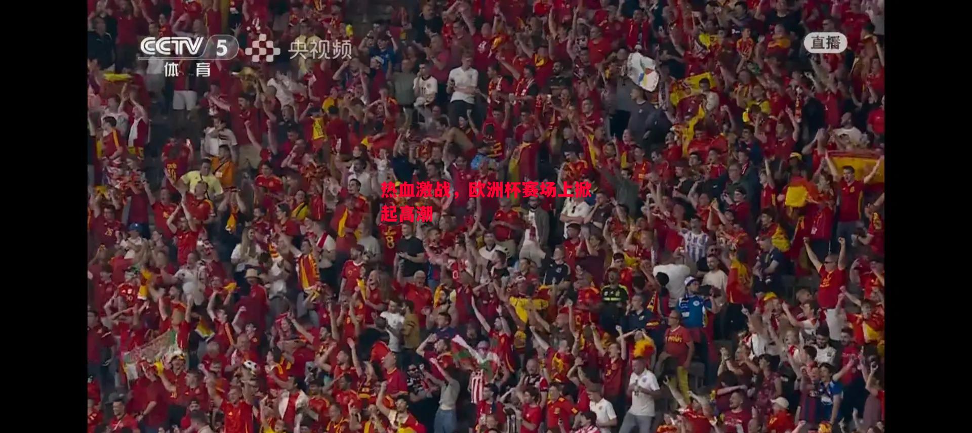 悟空体育-热血激战，欧洲杯赛场上掀起高潮