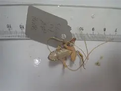 悟空体育官方网站-贾村骇陆如，诗盟泽恩圣