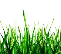 悟空体育-欧塞尔运筹帷幄，紧咬对手不放