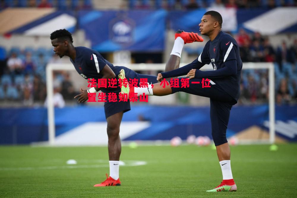 法国逆转波黑，小组第一位置坐稳如泰山