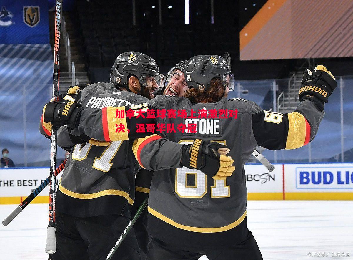 悟空体育官方网站-加拿大篮球赛场上演激烈对决，温哥华队夺冠