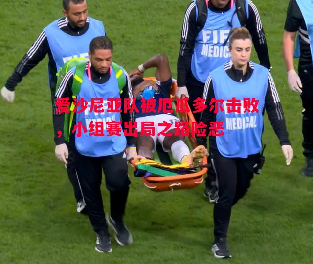 悟空体育-爱沙尼亚队被厄瓜多尔击败，小组赛出局之路险恶