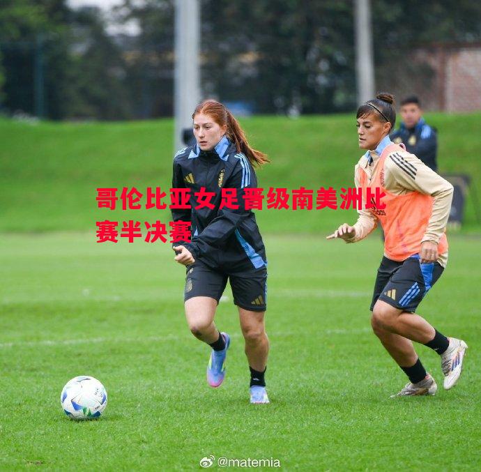 悟空体育-哥伦比亚女足晋级南美洲比赛半决赛