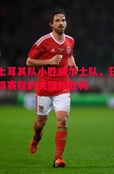 悟空体育官网-土耳其队小胜威尔士队，获得赛程的关键性胜利