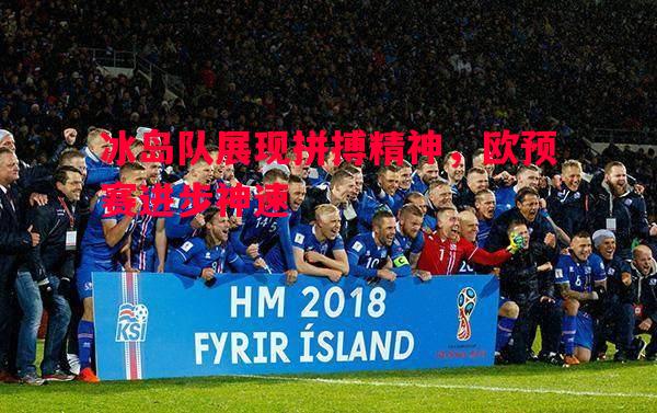 悟空体育-冰岛队展现拼搏精神，欧预赛进步神速