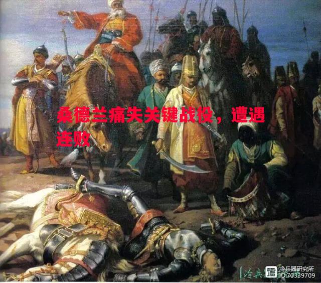 悟空体育官网-桑德兰痛失关键战役，遭遇连败