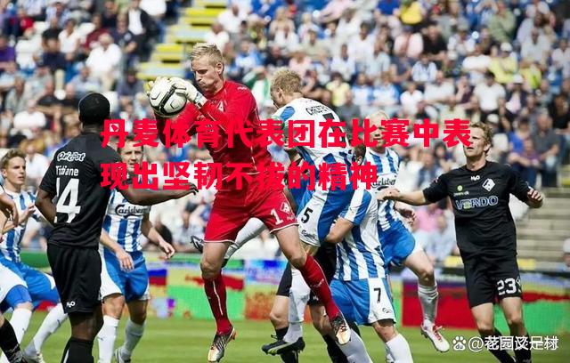 悟空体育官网-丹麦体育代表团在比赛中表现出坚韧不拔的精神