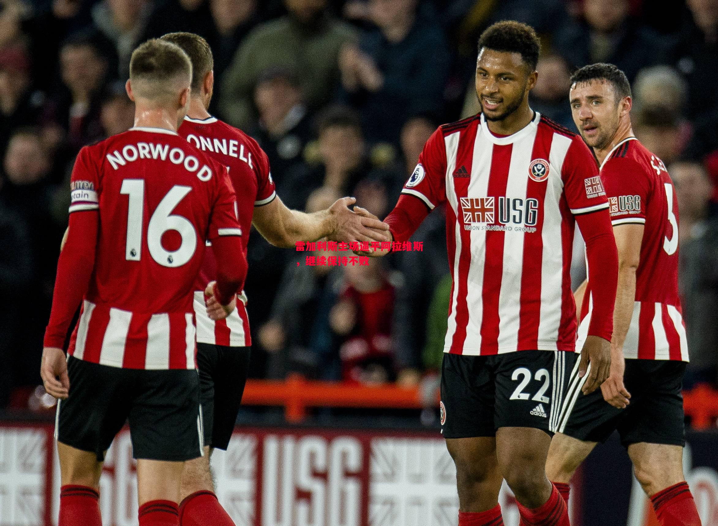 悟空体育-雷加利斯主场逼平阿拉维斯，继续保持不败