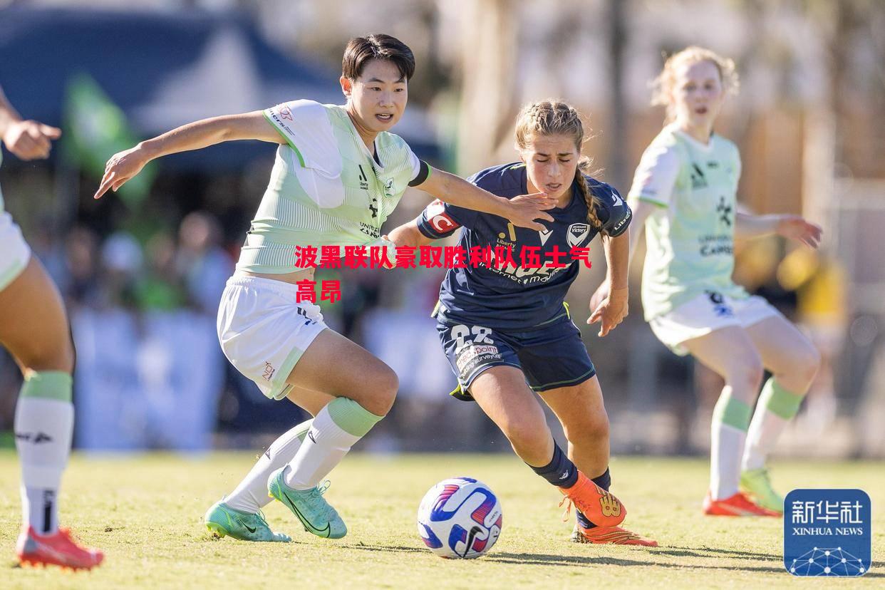 悟空体育官方网站-波黑联队豪取胜利队伍士气高昂