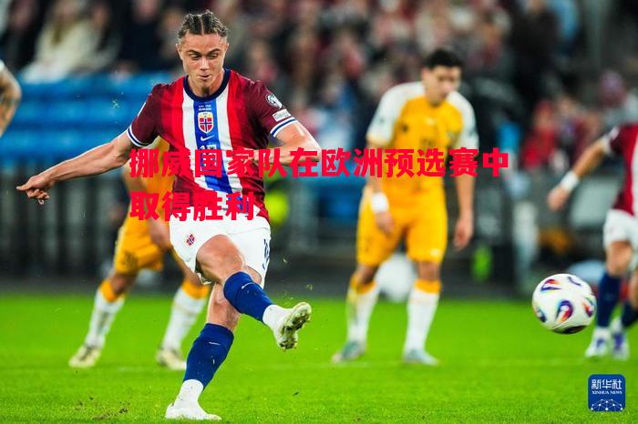 悟空体育官网-挪威国家队在欧洲预选赛中取得胜利