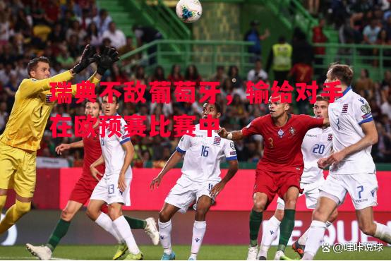 悟空体育官方网站-瑞典不敌葡萄牙，输给对手在欧预赛比赛中