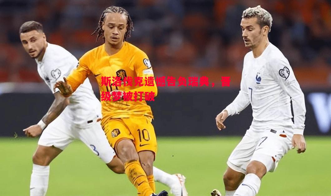 悟空体育-斯洛伐克遗憾告负瑞典，晋级梦被打破