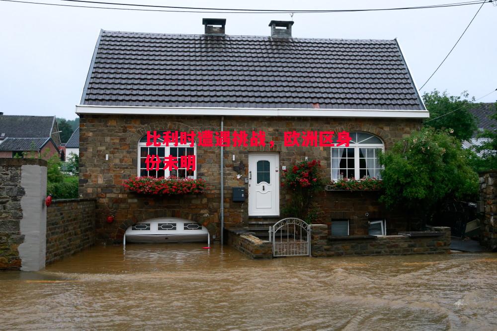 比利时遭遇挑战,欧洲区身份未明 比利时遭遇挑战,欧洲区身份未明