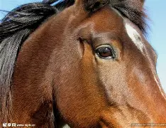 马拉加卡利亚里争胜,神威仍存 马拉加卡利亚里争胜,神威仍存