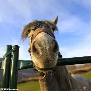 马拉加卡利亚里争胜,神威仍存 马拉加卡利亚里争胜,神威仍存