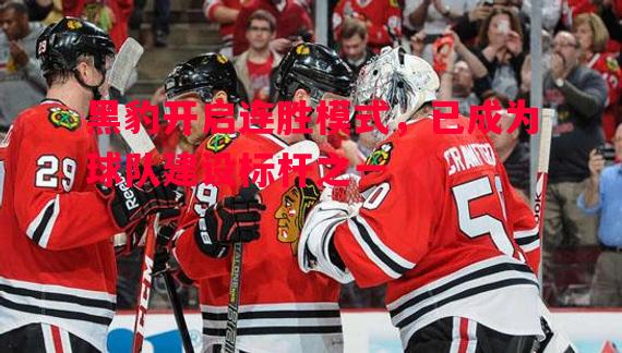 悟空体育-黑豹开启连胜模式，已成为球队建设标杆之一